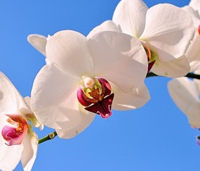 贵阳正规助孕捐卵机构，附正规捐卵机构报名表！